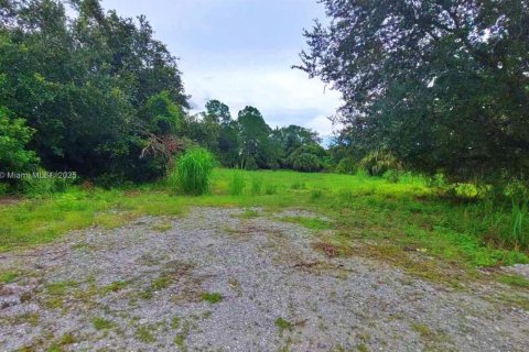 Land in Clewiston, Florida № 1926631 - photo 4