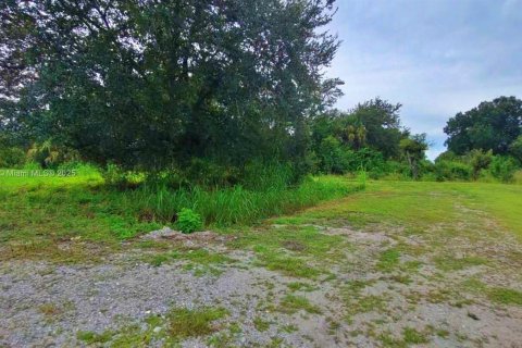 Land in Clewiston, Florida № 1926631 - photo 7