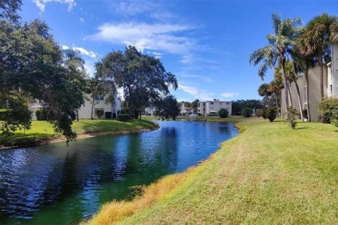 Condo à Dunedin, Floride, 1 chambre № 2431232