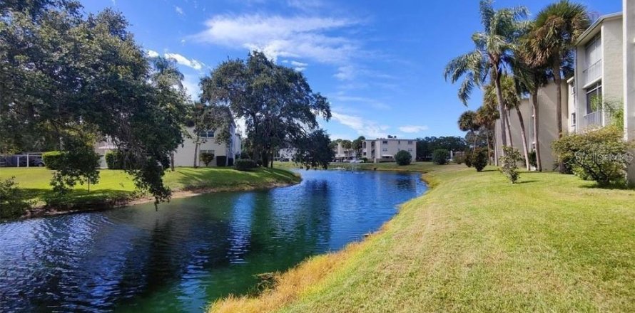 Condo à Dunedin, Floride, 1 chambre № 2431232