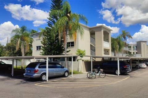 Copropriété à louer à Dunedin, Floride: 1 chambre, 73.39 m2 № 2431232 - photo 15