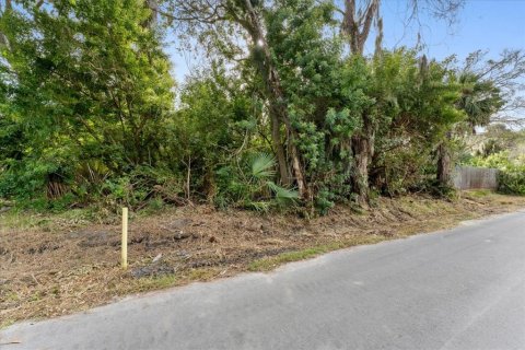 Terreno en venta en New Port Richey, Florida № 2166528 - foto 4