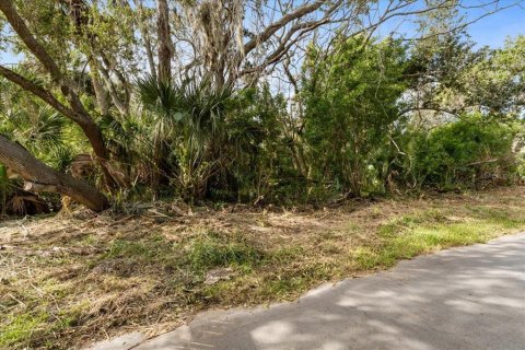Terreno en venta en New Port Richey, Florida № 2166528 - foto 2
