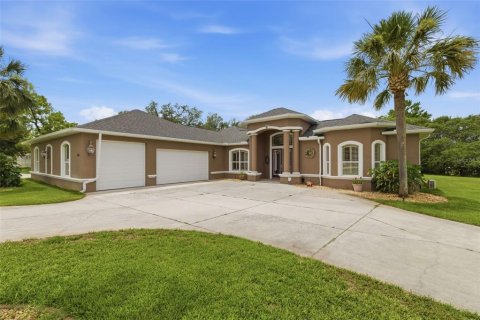 Villa ou maison à Weeki Wachee, Floride 3 chambres, 269.88 m2 № 2095464