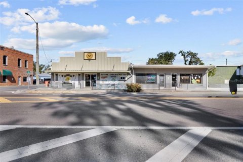 Immobilier commercial à Trenton, Floride 799.33 m2 № 2412660