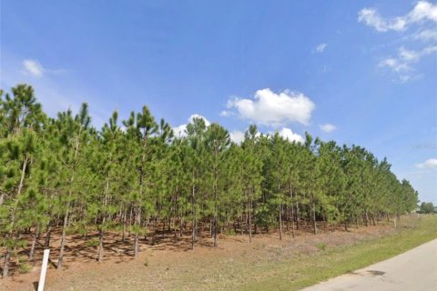 Terrain à Ocala, Floride № 2155577