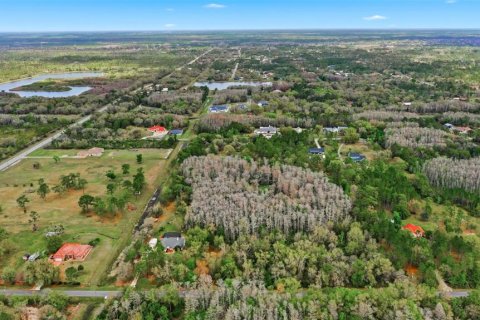 Land in Orlando, Florida № 2097338 - photo 3