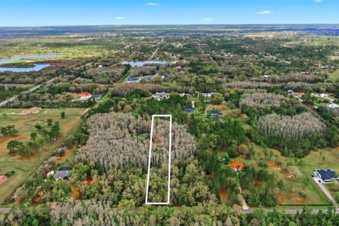 Land in Orlando, Florida № 2097338 - photo 24