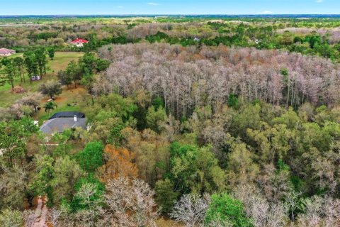 Land in Orlando, Florida № 2097338 - photo 21