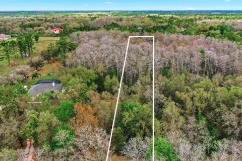 Land in Orlando, Florida № 2097338 - photo 20