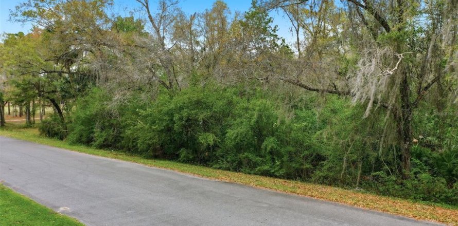 Land in Orlando, Florida № 2097338