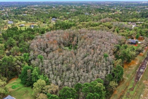 Land in Orlando, Florida № 2097338 - photo 17