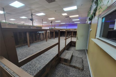 Propiedad comercial en alquiler en Belleview, Florida № 1722151 - foto 6