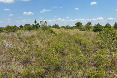 Commercial property in Okeechobee, Florida № 2182103
