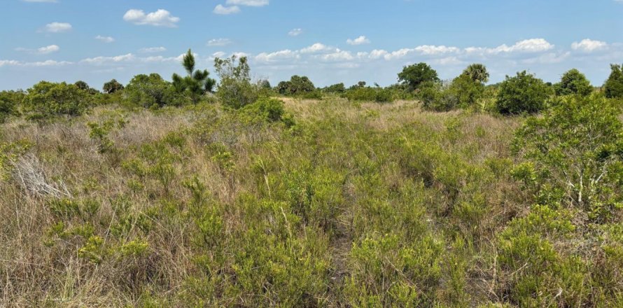Commercial property in Okeechobee, Florida № 2182103
