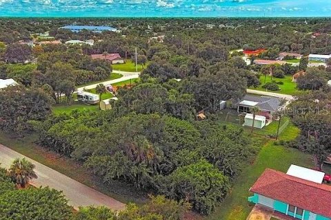 Land in Port Charlotte, Florida № 2164324 - photo 3