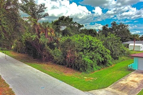 Land in Port Charlotte, Florida № 2164324