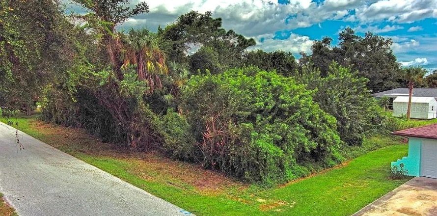 Land in Port Charlotte, Florida № 2164324