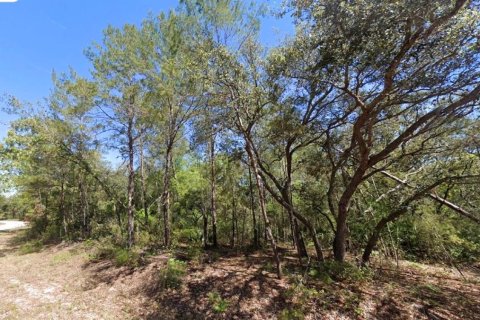Land in Ocklawaha, Florida № 2228068 - photo 5