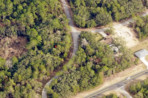 Land in Ocklawaha, Florida № 2228068 - photo 2