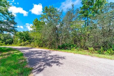 Land in Ocklawaha, Florida № 2228068 - photo 4
