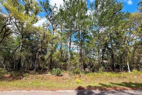 Land in Ocklawaha, Florida № 2228068 - photo 3