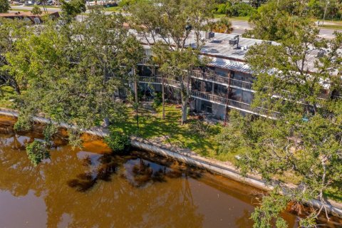 Condo in Tampa, Florida, 1 bedroom  № 1835795 - photo 14