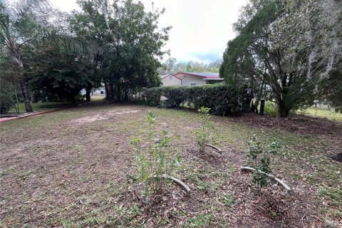 Apartamento en alquiler en Lake Wales, Florida, 1 dormitorio, 31.22 m2 № 2197408 - foto 15