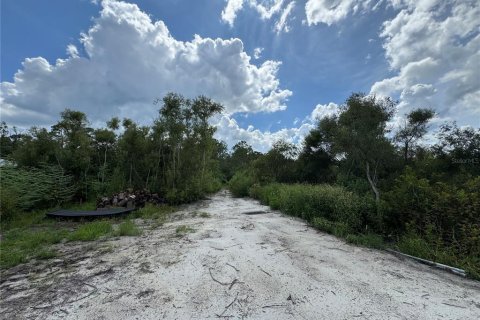 Land in North Port, Florida № 1806798 - photo 2