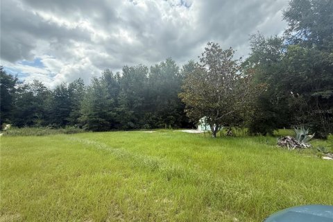 Terreno en venta en Ocala, Florida № 2093861 - foto 3