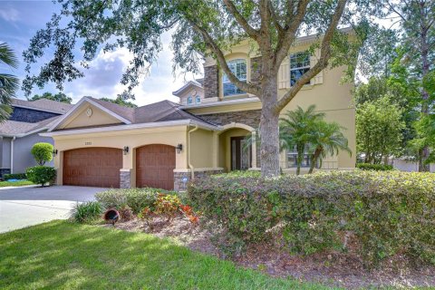 Villa ou maison à vendre à Valrico, Floride: 4 chambres, 424.66 m2 № 1685075 - photo 5