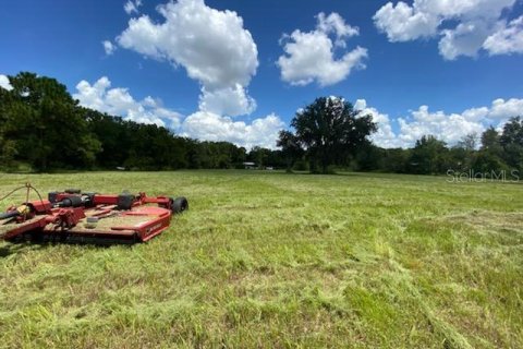 Land in Wesley Chapel, Florida № 1555514 - photo 2