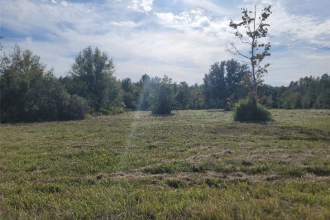 Land in Wesley Chapel, Florida № 1555514 - photo 5