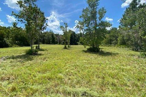 Land in Wesley Chapel, Florida № 1555514 - photo 3