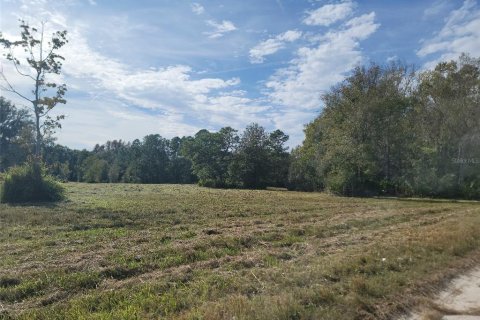 Land in Wesley Chapel, Florida № 1555514 - photo 4