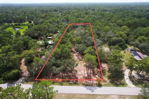 Terrain à Homosassa, Floride № 2237741