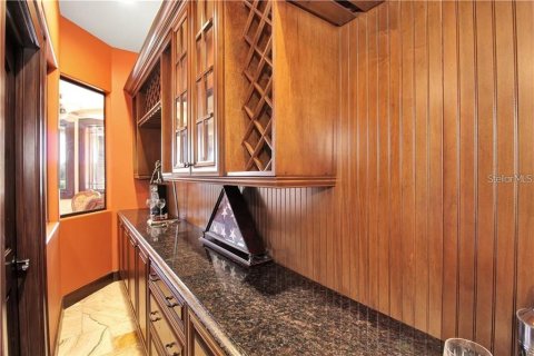 Casa en alquiler en Saint Petersburg, Florida, 5 dormitorios, 417.97 m2 № 1535034 - foto 17