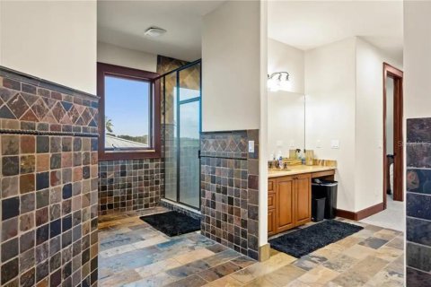 Casa en alquiler en Saint Petersburg, Florida, 5 dormitorios, 417.97 m2 № 1535034 - foto 23