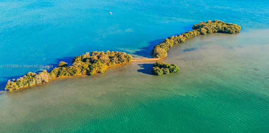 Terreno en Miami, Florida № 1984776