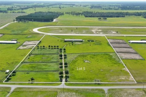Terreno en Williston, Florida № 2102919