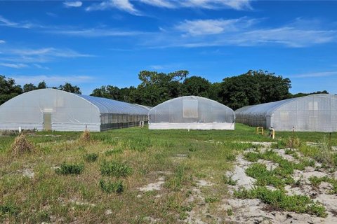Land in Frostproof, Florida № 2233763 - photo 11