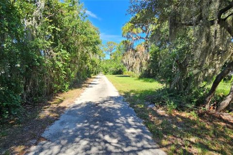 Land in Frostproof, Florida № 2233763 - photo 19