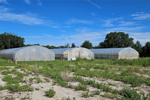 Land in Frostproof, Florida № 2233763 - photo 10