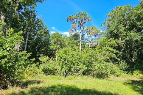 Land in Frostproof, Florida № 2233763 - photo 16