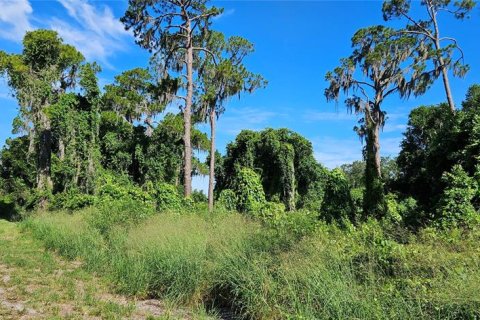 Land in Frostproof, Florida № 2233763 - photo 6