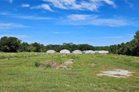 Land in Frostproof, Florida № 2233763 - photo 8