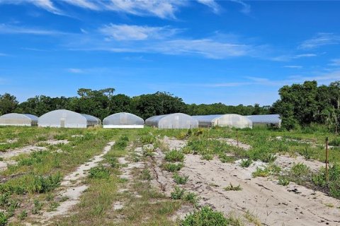 Land in Frostproof, Florida № 2233763 - photo 9