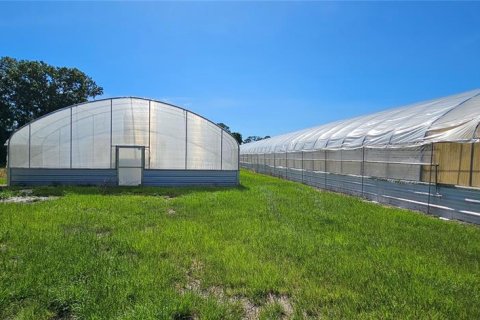 Land in Frostproof, Florida № 2233763 - photo 18