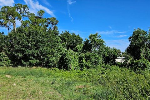 Land in Frostproof, Florida № 2233763 - photo 5