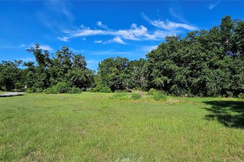 Land in Frostproof, Florida № 2233763 - photo 15